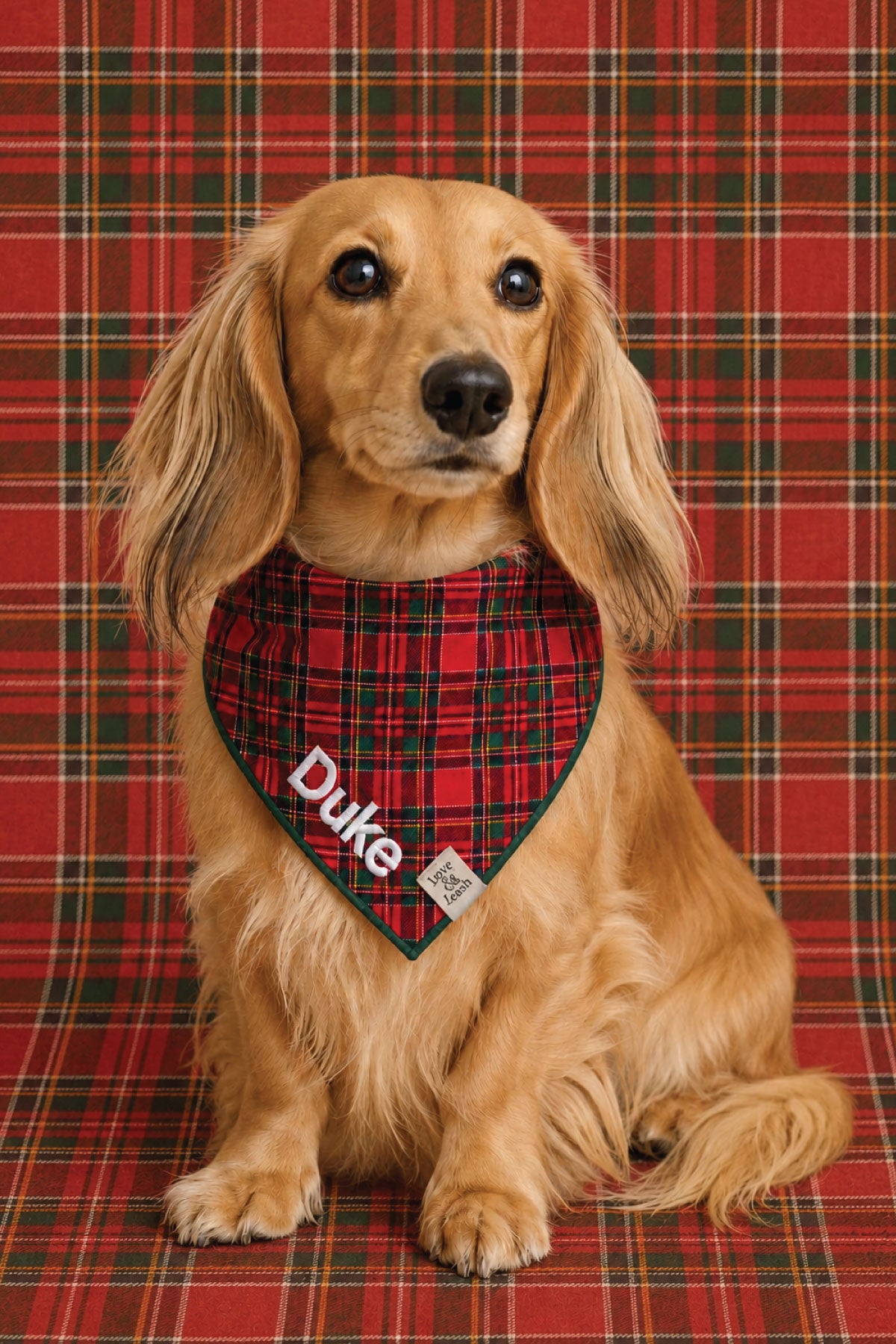 Embroidered Christmas Pet Bandana | Plaid Tidings