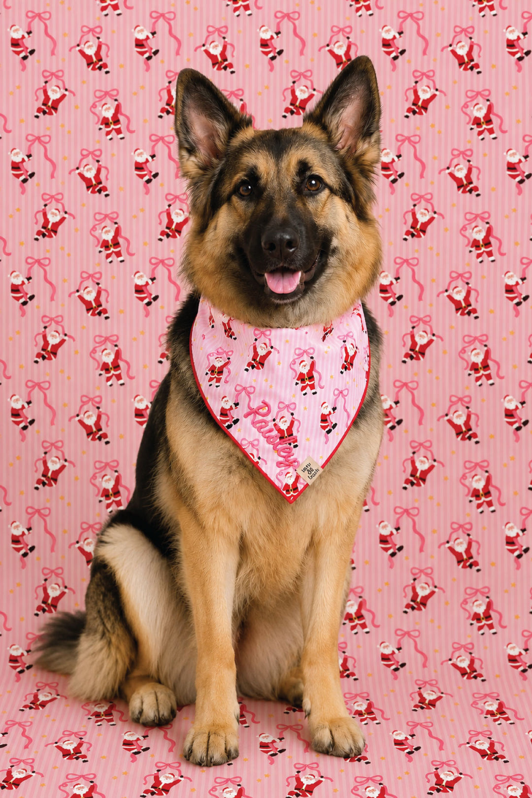 German Shepherd sitting and smiling while wearing a Lane & Leash Jolly Ribbons personalized dog bandana in pink stripe with dancing Santa print, embroidered with the name 'Paisley' in pink, against a tan backdrop