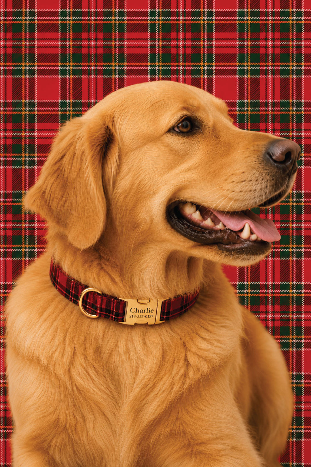 Close up of golden retriever smiling with tongue out, wearing a Lane & Leash Plaid Tidings dog collar in red tartan with engraved gold buckle reading 'Charlie,' against a cream backdrop