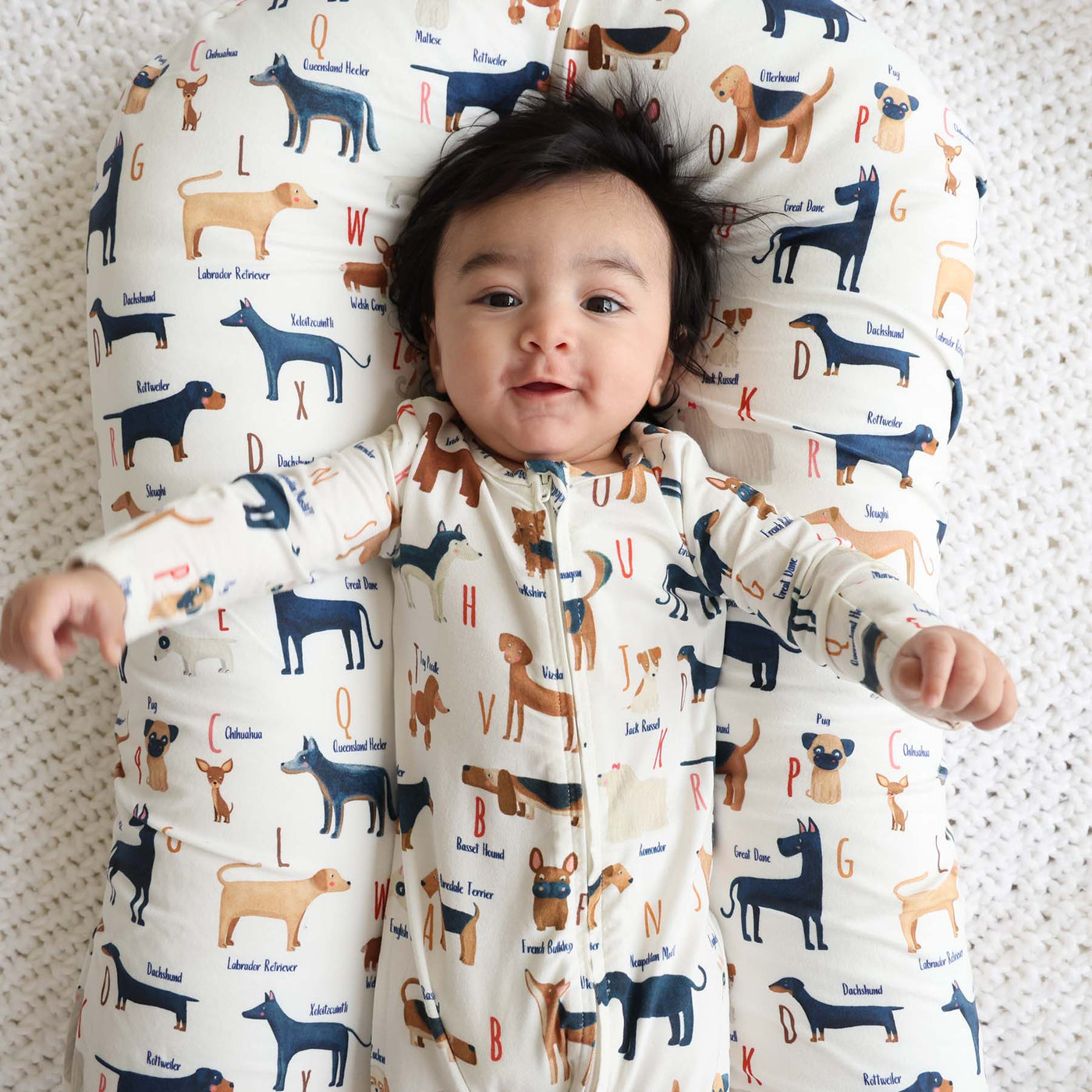 oversized swaddle blanket with dogs and letters 
