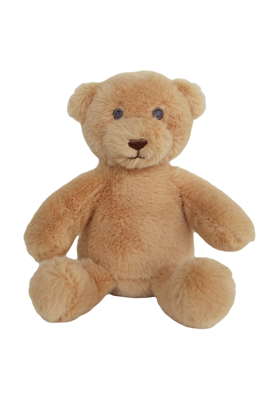 Brown teddy bear on a white background