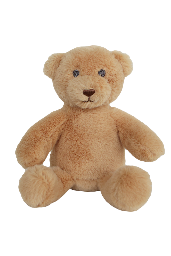 Brown teddy bear on a white background