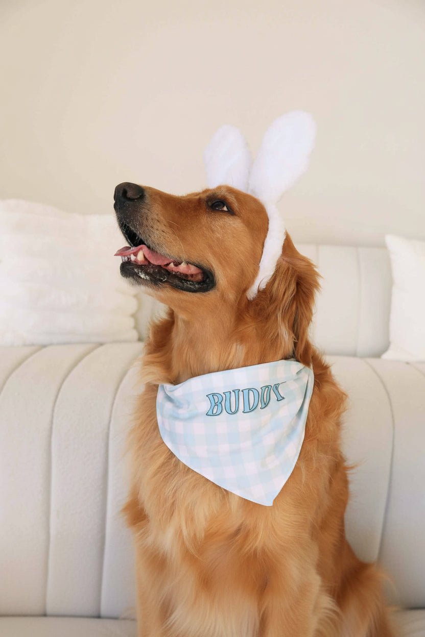 blue gingham personalized pet bandana 