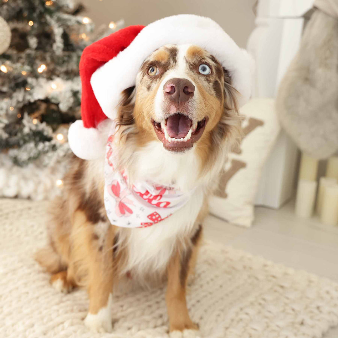 bow and wreath personalized pet bandana 