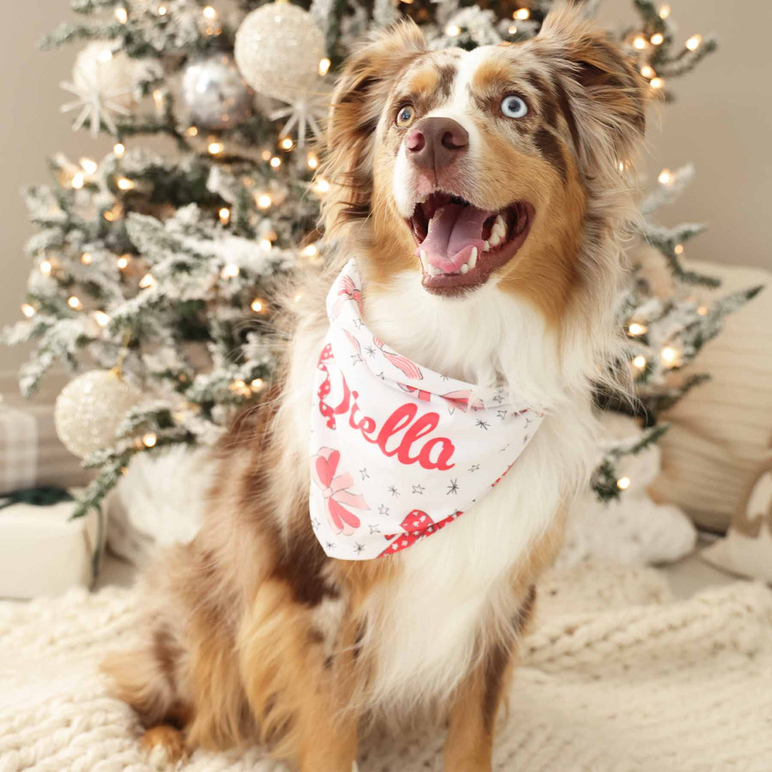 bow bandana for dogs christmas