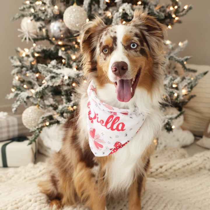 bow personalized pet bandana 