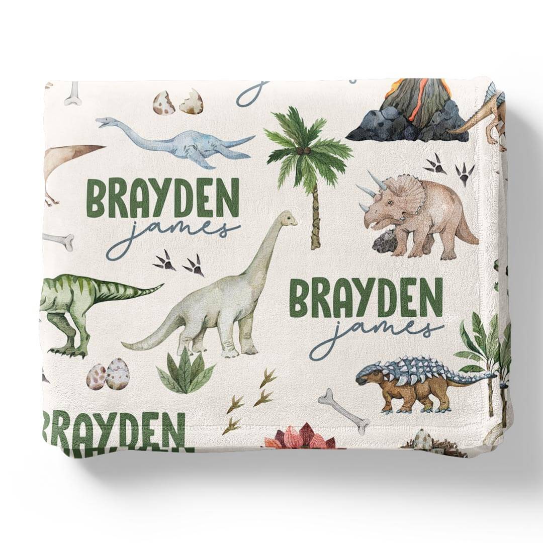 boy dinosaur personalized kids blanket 