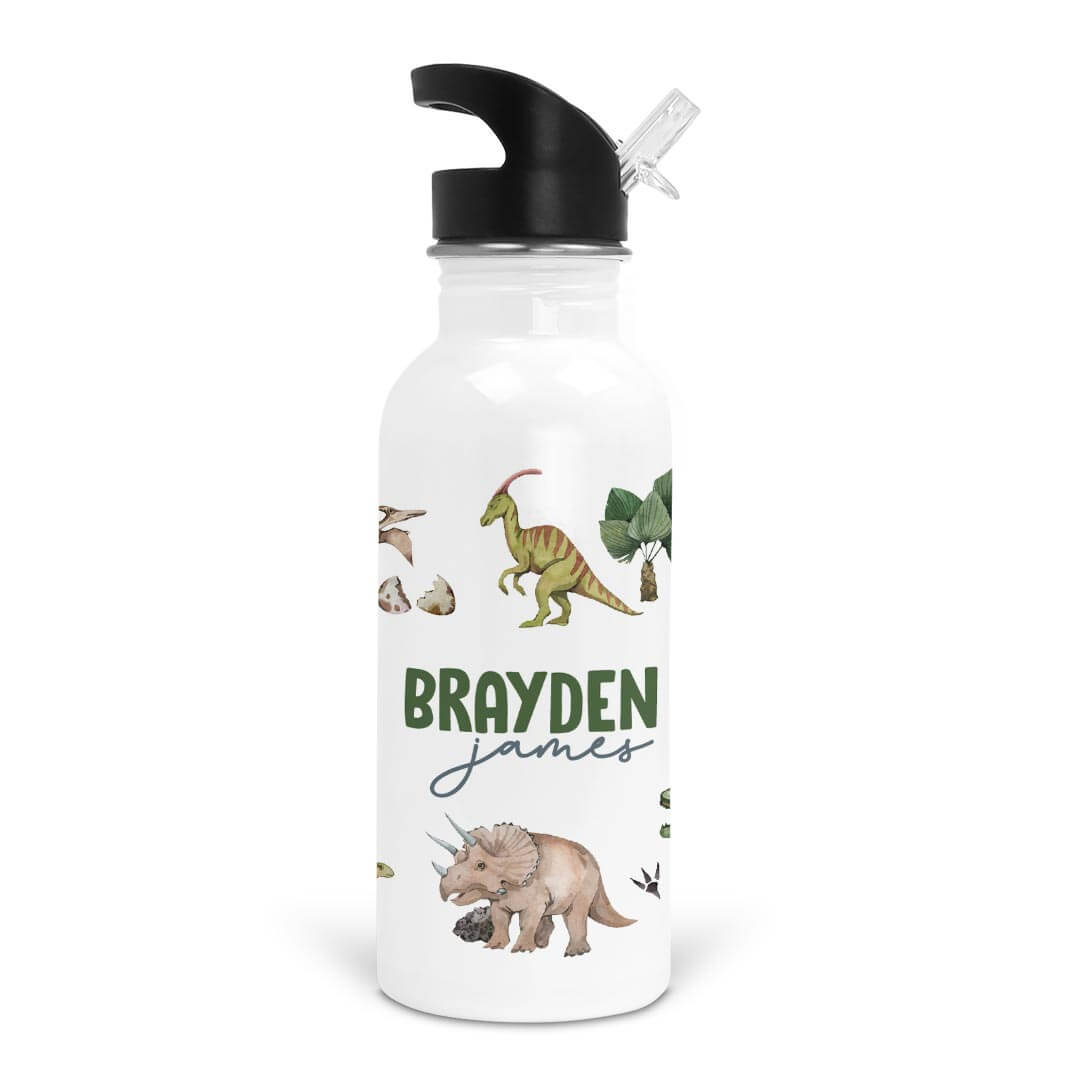 boy dinosaur personalized kids water bottle