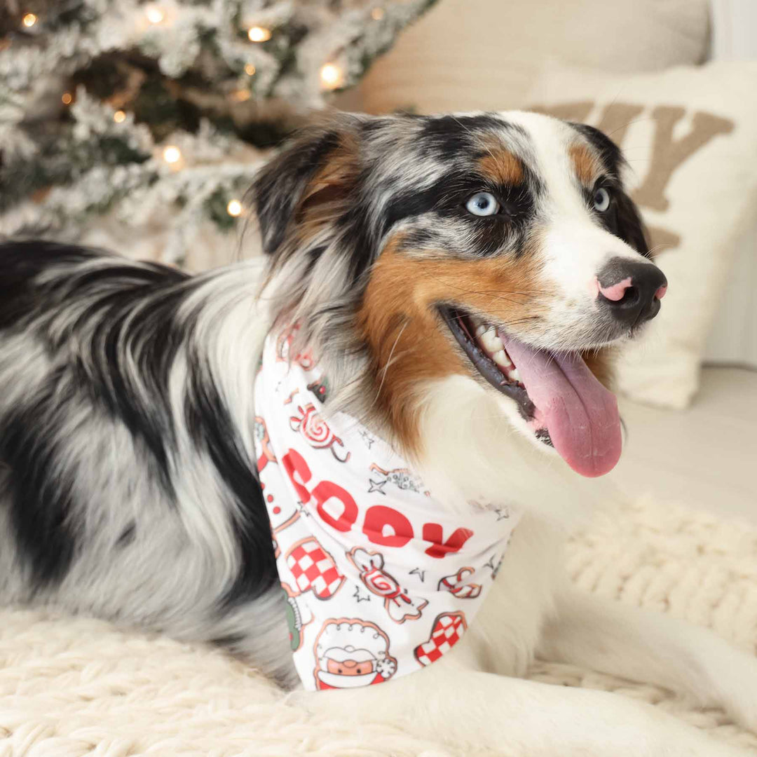 dog bandana christmas cookies print 