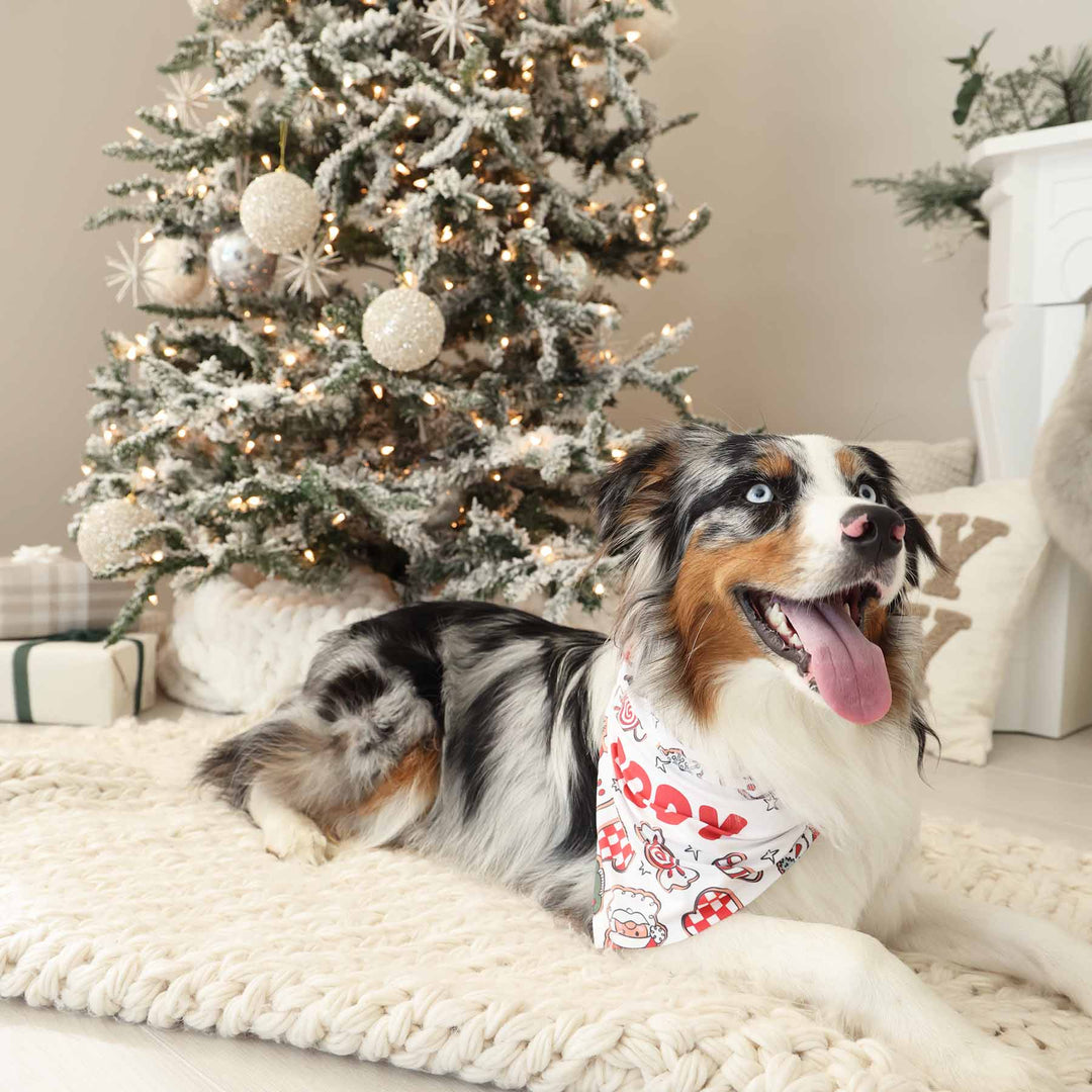 personalized pet bandana with christmas cookies 