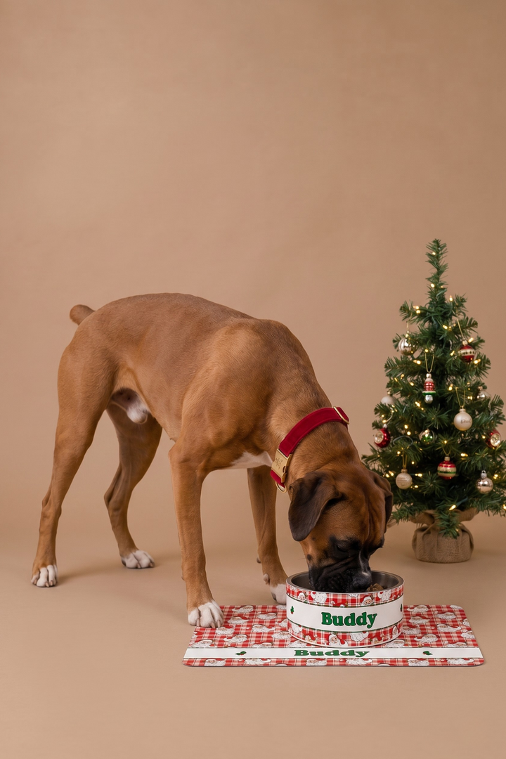 A brown dog wearing a Lane & Leash red collar eats from a personalized Lane & Leash white Christmas-themed bowl placed on a red-and-white patterned mat next to a decorated Christmas tree, set against a solid tan studio background.