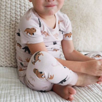 kid pajamas two piece dinosaurs 