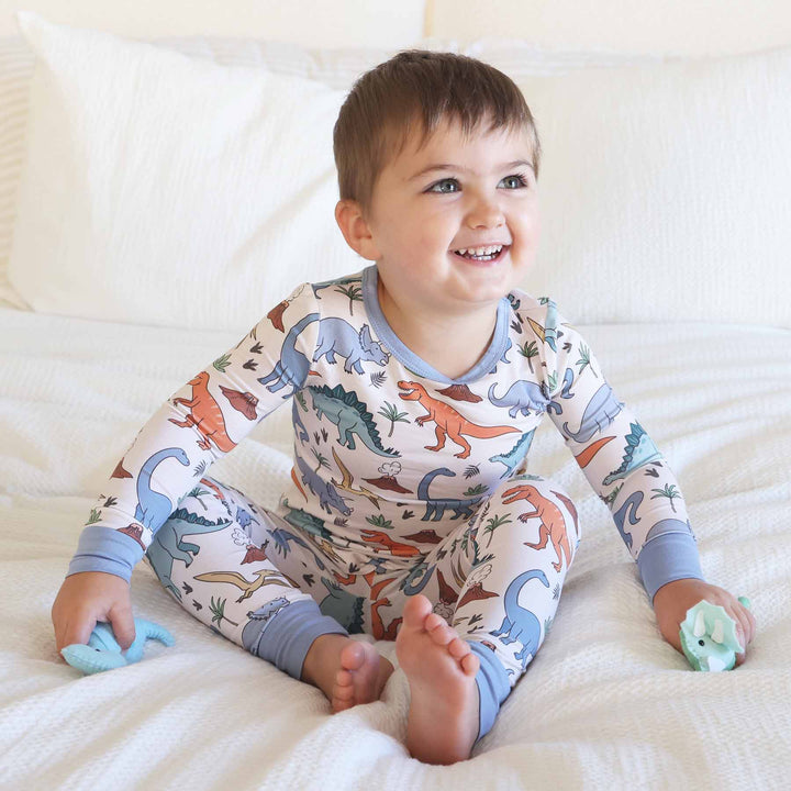 boys two piece pajama set with colorful dinosaurs