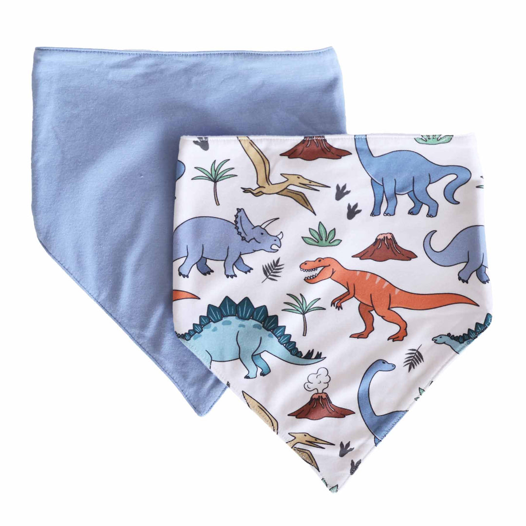 colorful dinosaur bib set for babies 