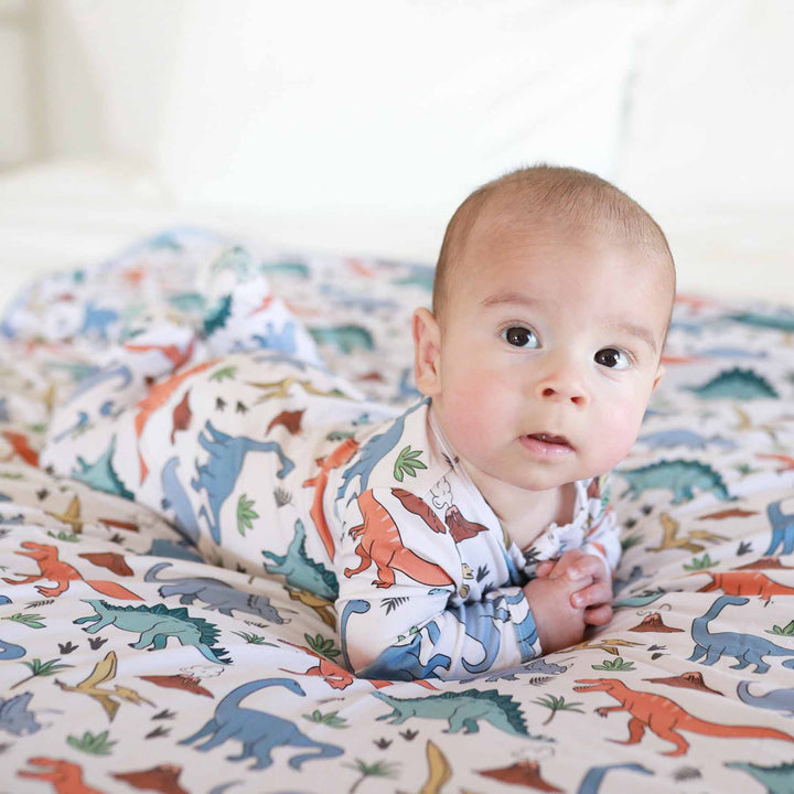 colorful dinosaur zipper footie for babies 