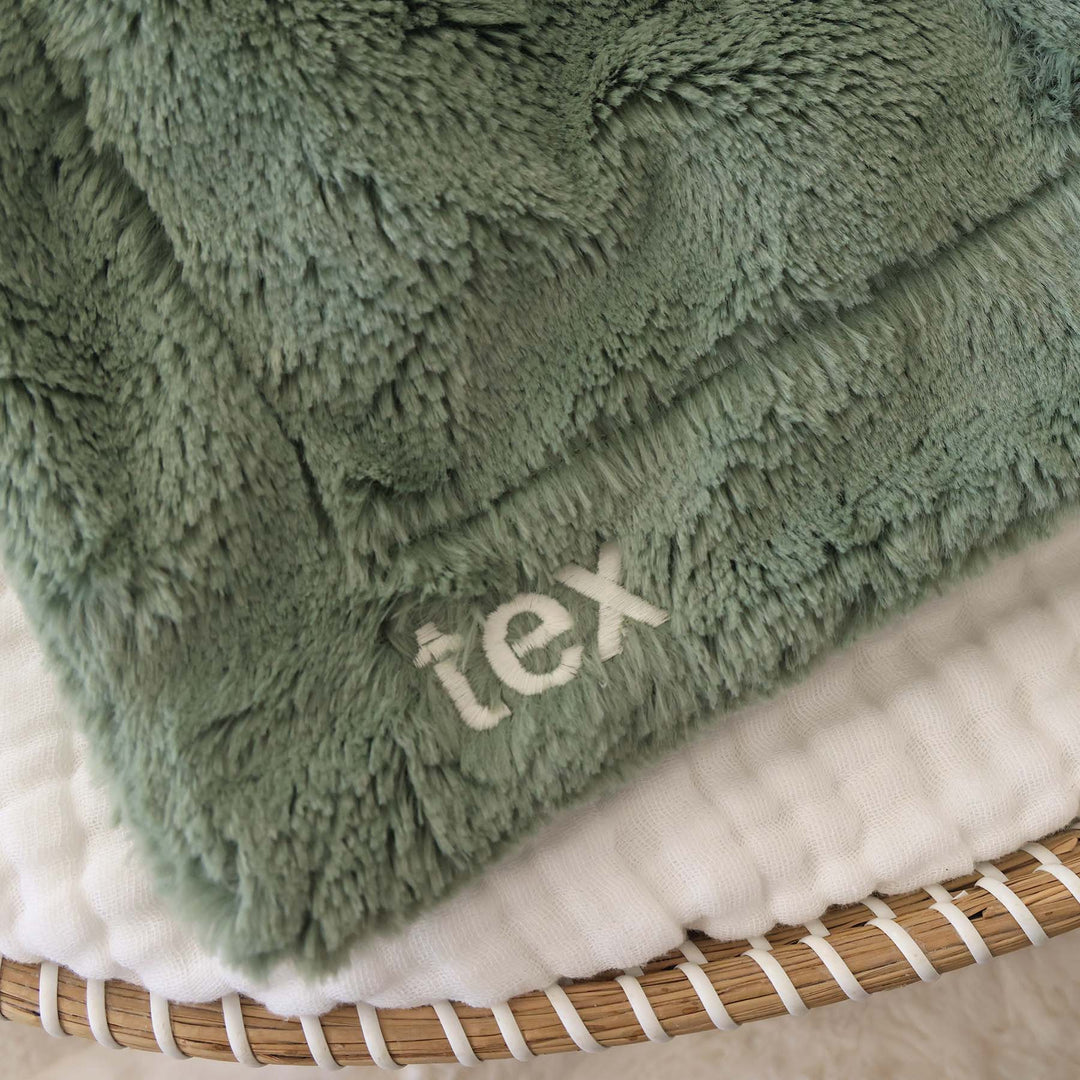 green embroidered plush dinosaur lovey with white thread in block font 