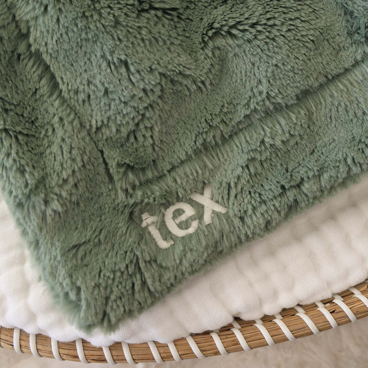 green embroidered plush dinosaur lovey with white thread in block font 