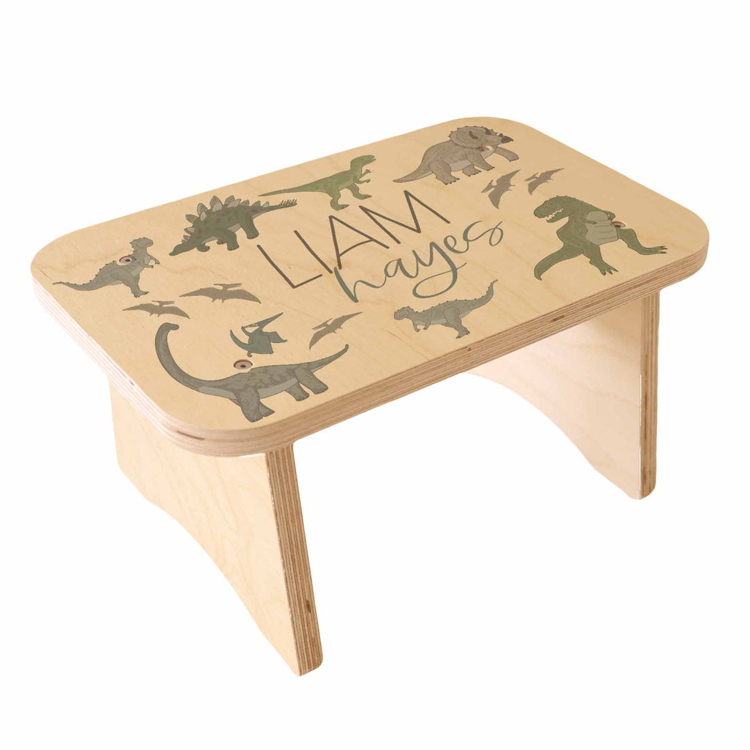 Kids Personalized Step Stool | Dinosaur Friends