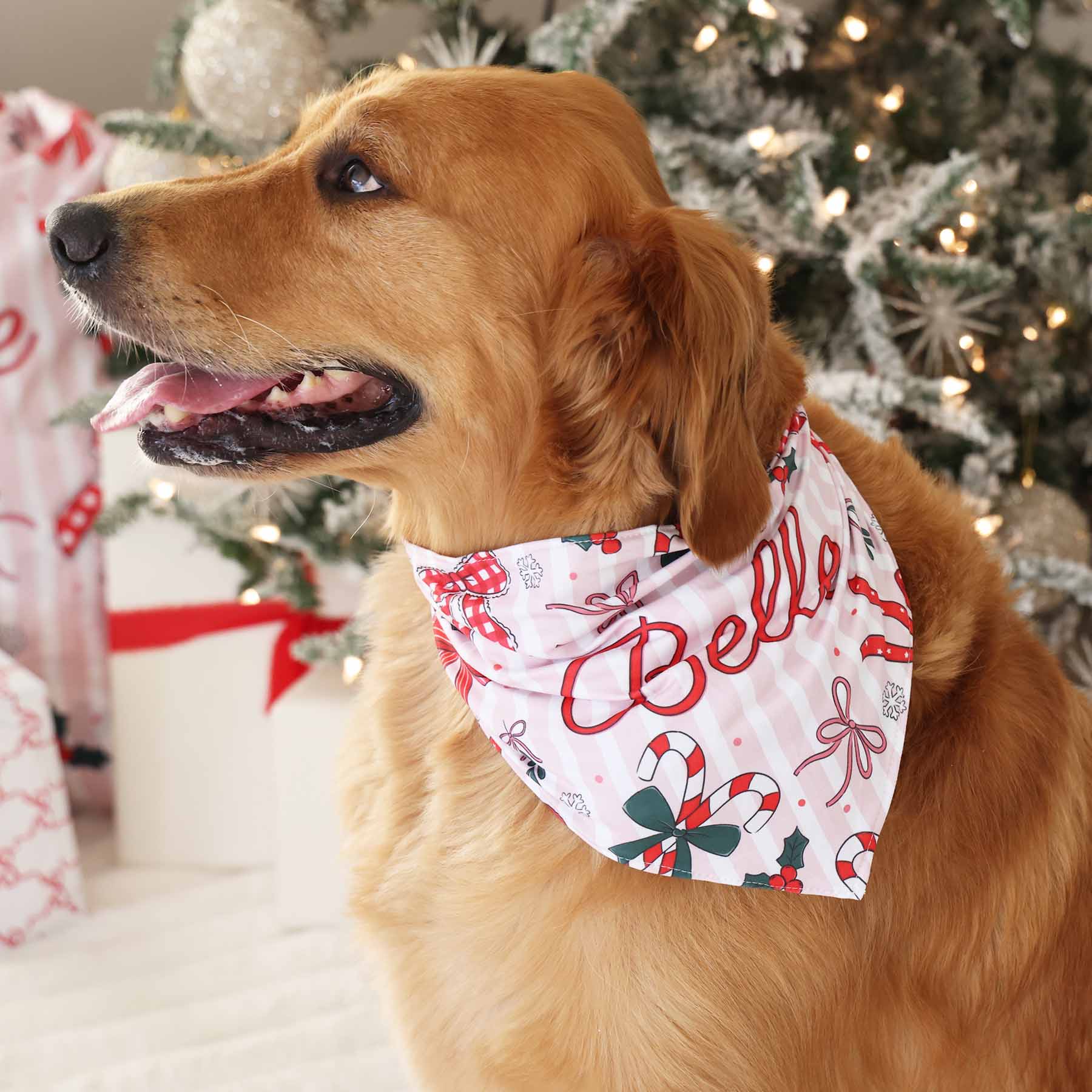 Bow What Fun Personalized Pet Bandana