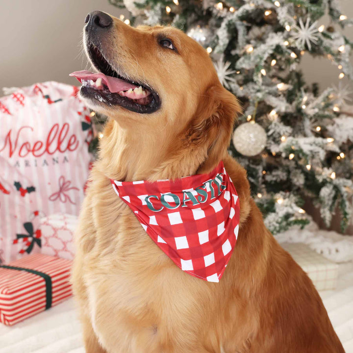 checking it twice personalized pet bandana 