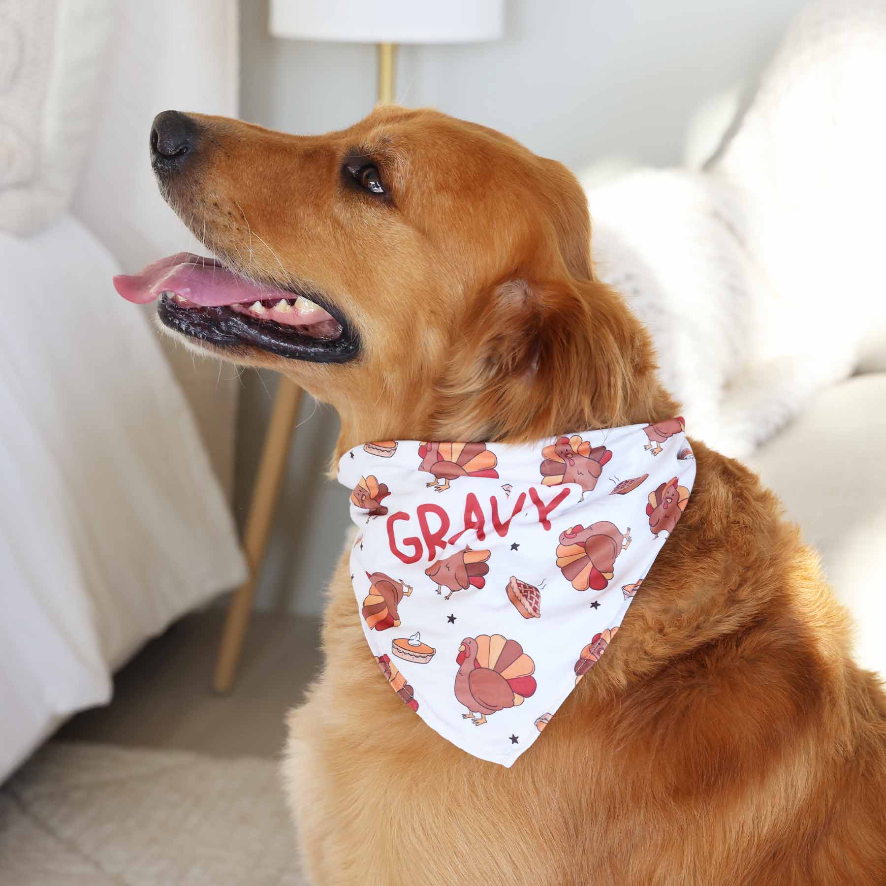 Turkey Treats Personalized Pet Bandana