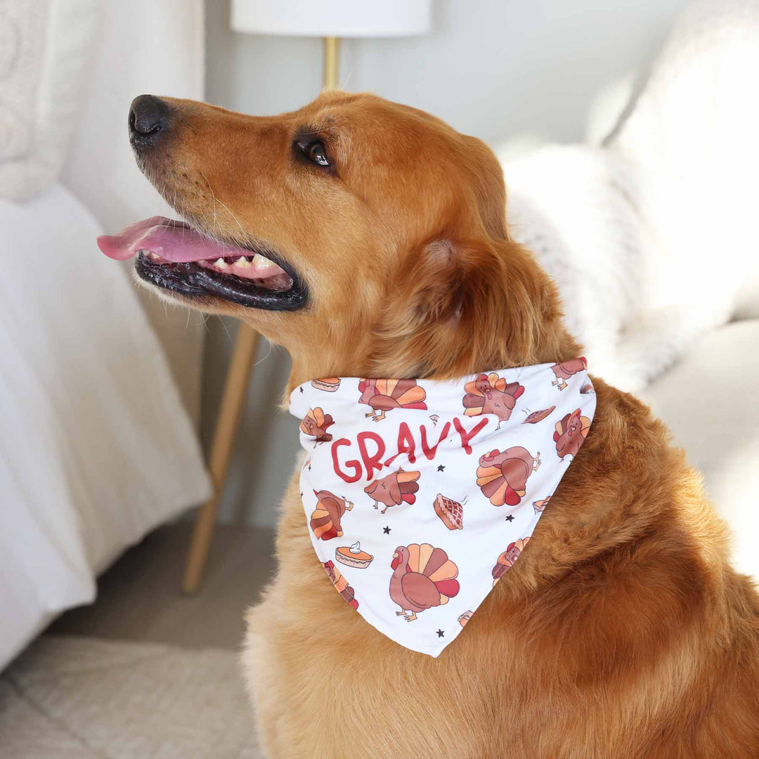 turkey and pie personalized pet bandana 