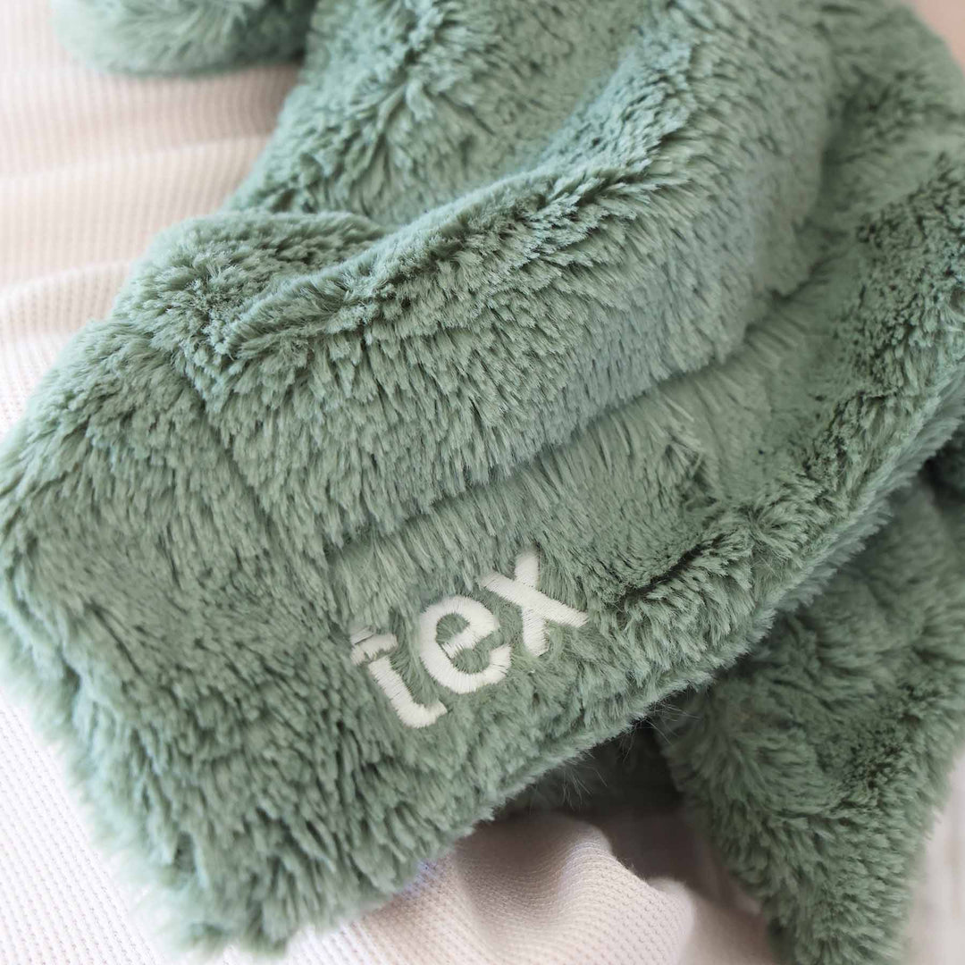 close up of green dinosaur lovey with name in white thread block font 