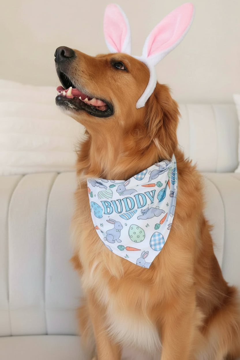 Hoppy Spring Personalized Pet Bandana | Blue