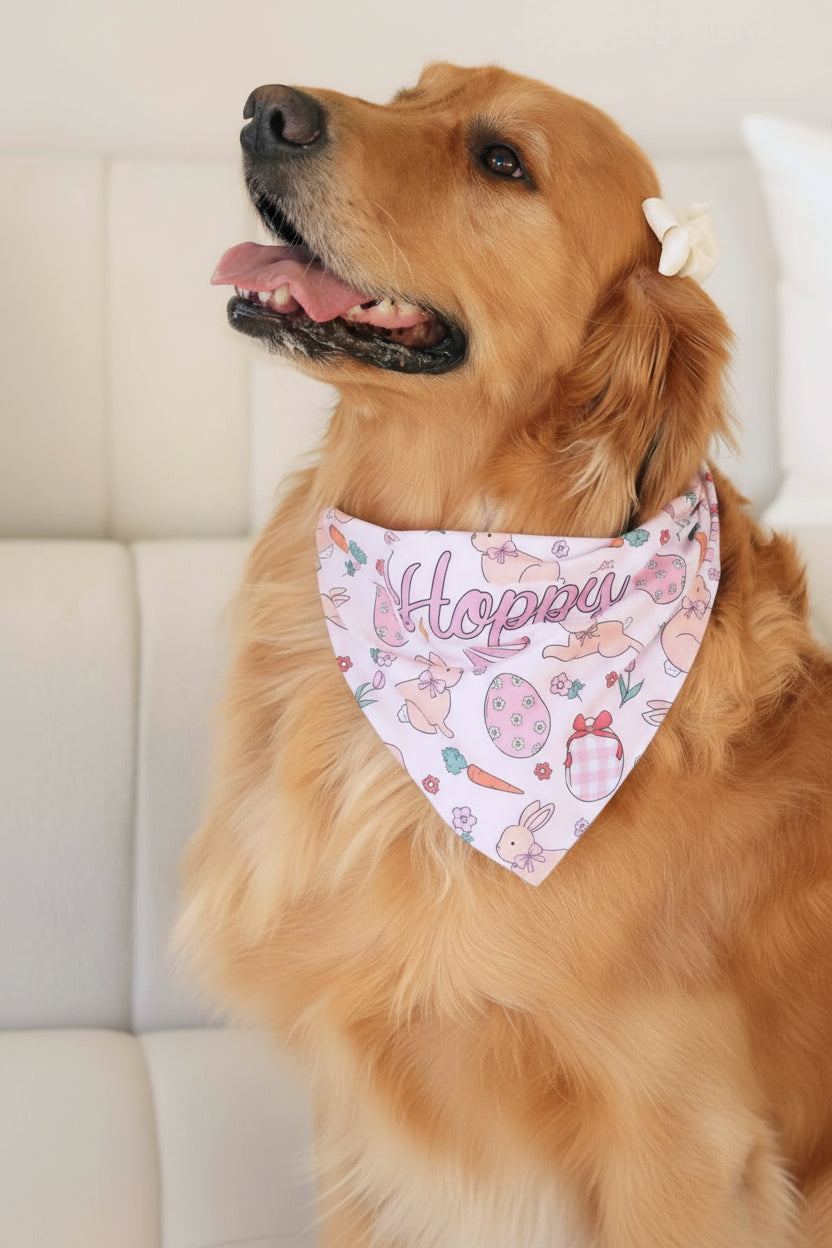 Hoppy Spring Personalized Pet Bandana | Pink