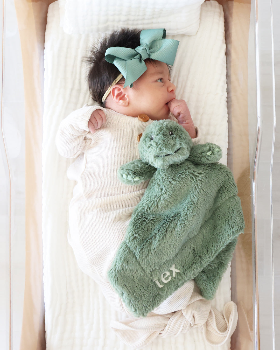 embroidered dinosaur lovey