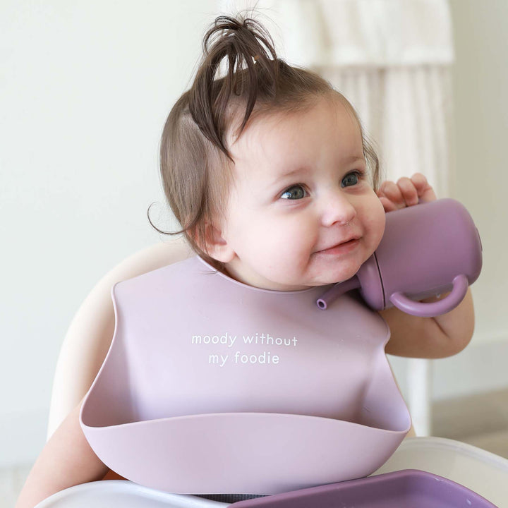 Silicone Sayings Baby Bibs