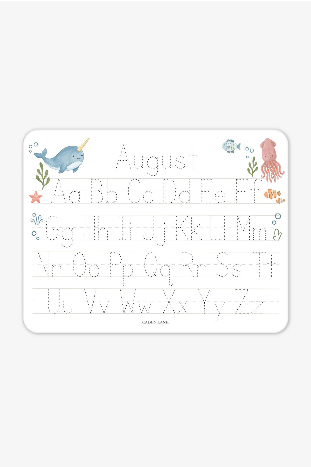 Flat lay of a personalized Caden Lane Ocean Dreams alphabet whiteboard, showing narwhal, fish, and squid with tracing letters and custom name