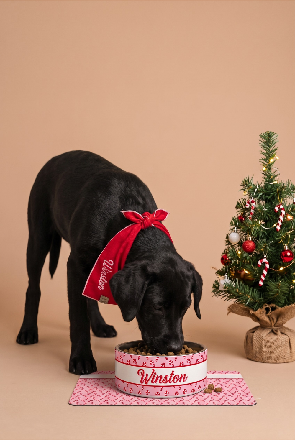 A black dog wearing a red Lane & Leash bandana with 'Winston' written on it, eating from a matching red and white Lane & Leash patterned bowl placed on a pink mat. 