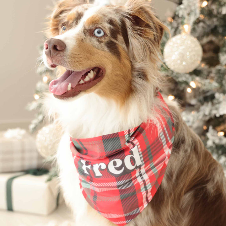 red and green plaid bandana for pets with name 