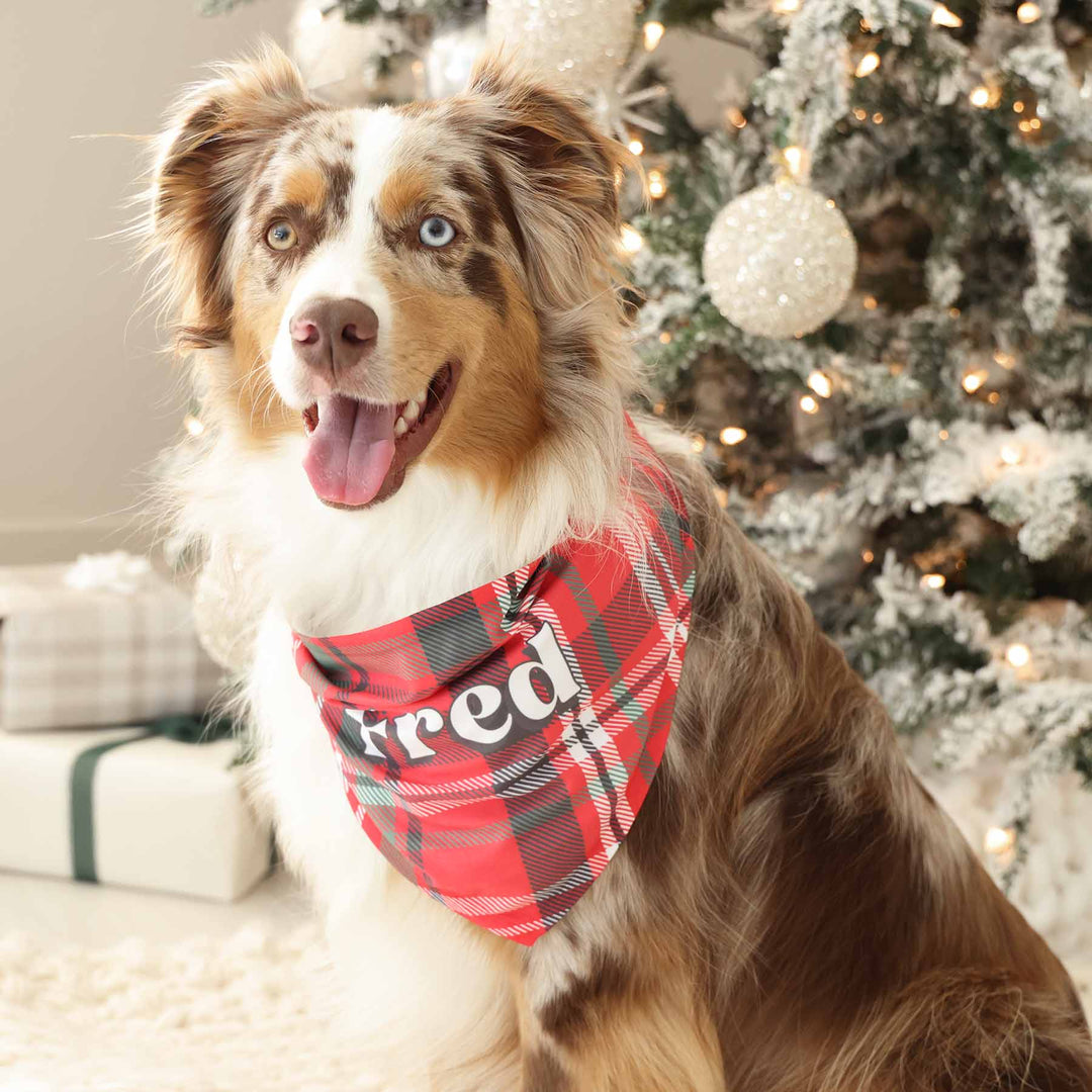 christmas plaid personalized pet bandana 