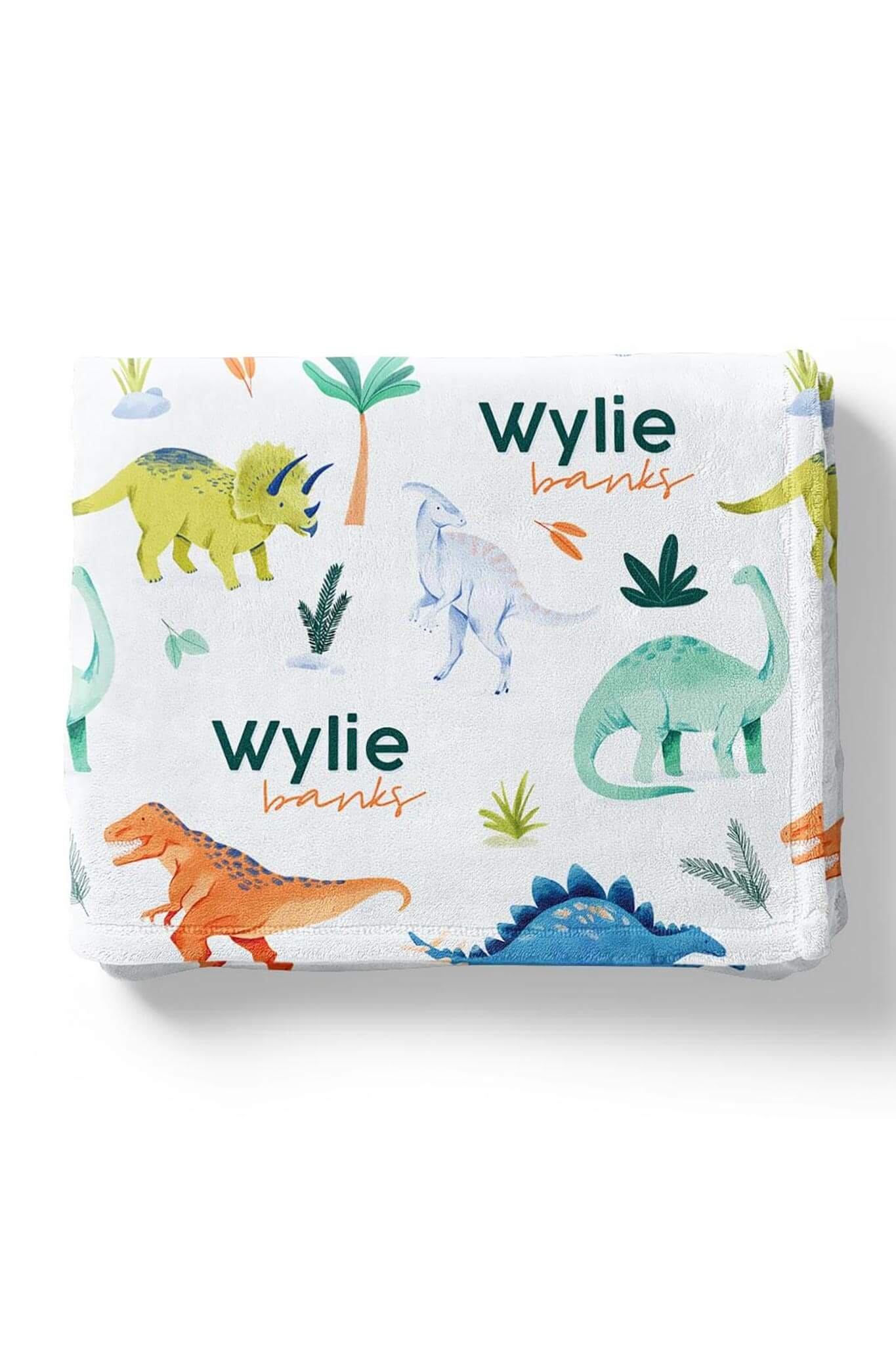 Personalized Kids Blanket | Prehistoric World