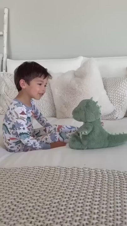 colorful dinosaur boys pajamas set