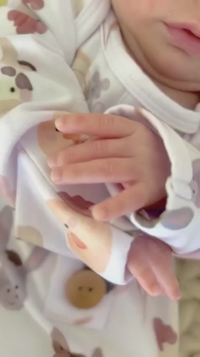 barnyard buddies video