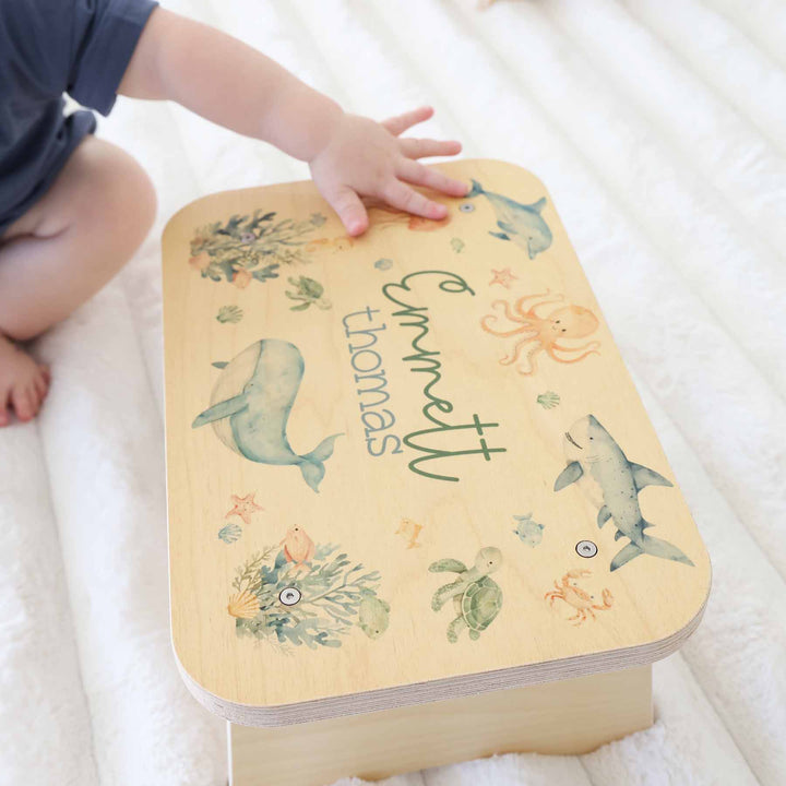 Kids Personalized Step Stools