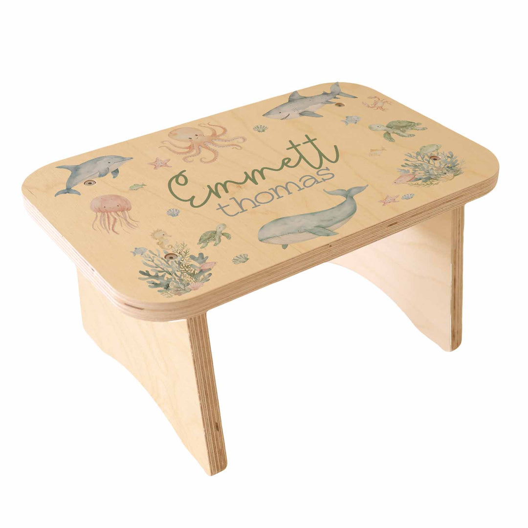 Kids Personalized Step Stools