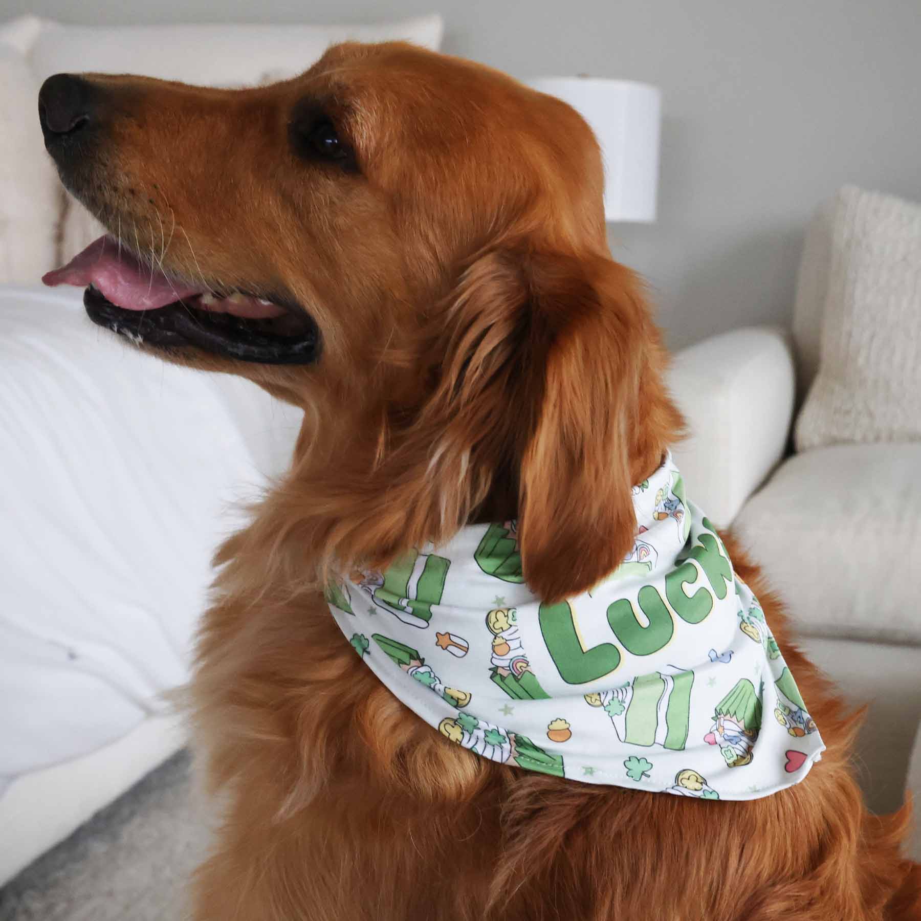 Shamrock Sweets Personalized Pet Bandana