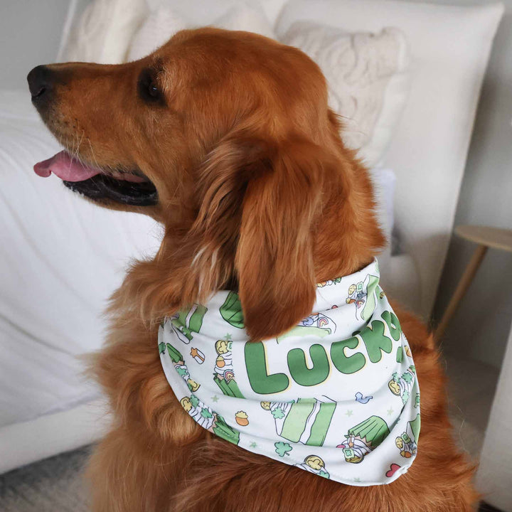 green cake and cupcake personalized pet bandana for st. patrick's day 