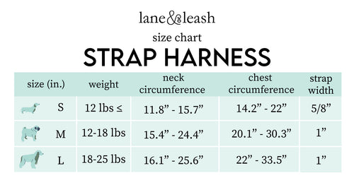 Sizing chart